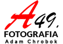 Logo A49